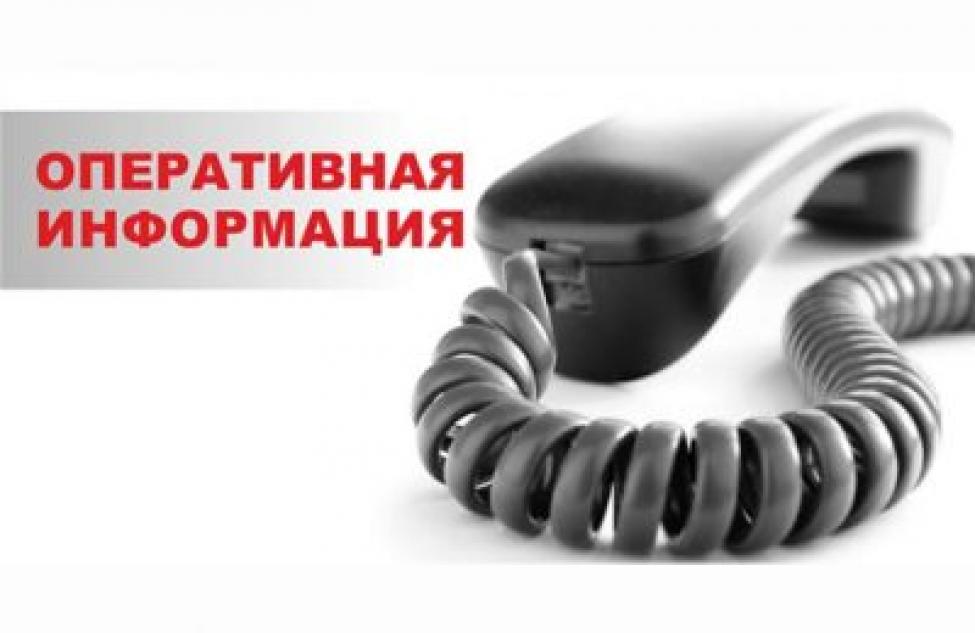 По фактам сообщений о минировании ряда общеобразовательных организаций  Новосибирска проводится проверка