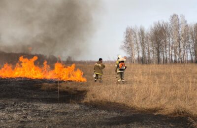 На территории Куйбышевского района складывается непростая обстановка с ландшафтными и природными пожарами