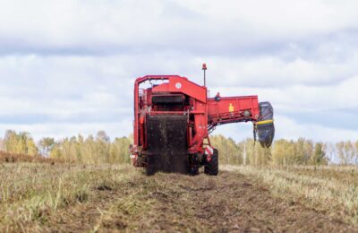 Фермеры-нарушители потеряют деньги из-за пала травы в Новосибирской области