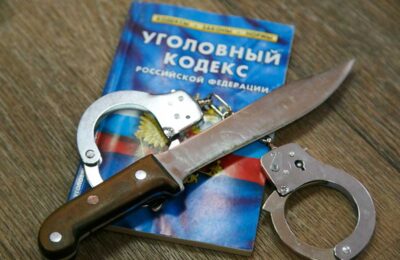 Приговор за убийство зятя выслушал житель Здвинского района