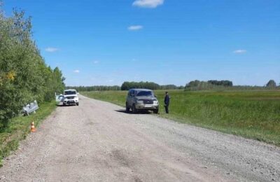 Водитель «Лады» погиб в Чановском районе – пассажиры в больнице
