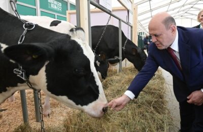 Михаил Мишустин: Наши аграрии умеют работать и любят свое дело
