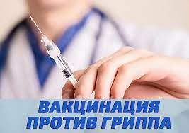 Полмиллиона доз вакцин против гриппа поступили в Новосибирскую область