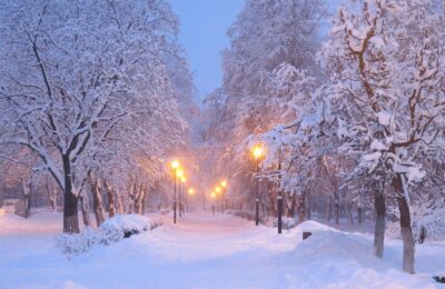 Похолодание в Куйбышеве начнется со второй половины недели