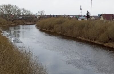 Вода в реке Омь на территории Куйбышевского района прибывает