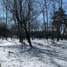 В Барабинске обнаружено тело замерзшей женщины