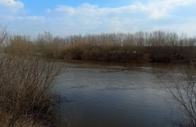 Уровень реки Омь в черте Куйбышева повышается