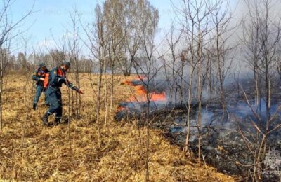 Особый противопожарный режим продлен в Новосибирской области