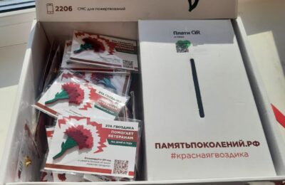 Более 300 значков «Красная гвоздика» будет распространено на территории Барабинска и Куйбышева