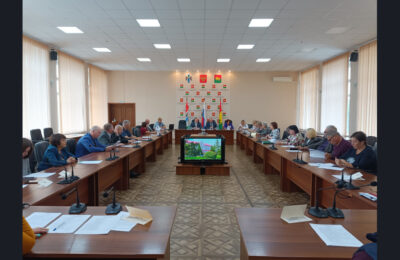 Об итогах работы здравоохранения Куйбышевского района в 2022 году депутатам сообщил главный врач ЦРБ