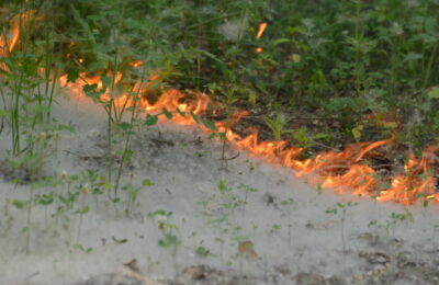 Возгорание тополиного пуха стало причиной нескольких пожаров в Куйбышеве