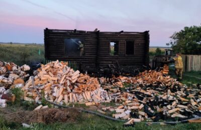 Два жителя села Верх-Ича Куйбышевского района погибли на пожаре