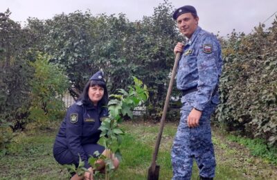 Куйбышевские судебные приставы высадили деревья