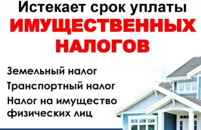 Налоги в сумме более 46 миллионов рублей должны уплатить куйбышевцы