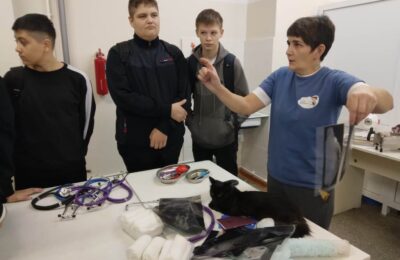 Наложили швы банану: в Куйбышеве прошла Школа юного ветеринара