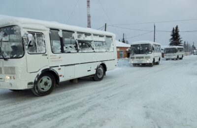 Более 200 новых автобусов выедут на маршруты в Новосибирской области