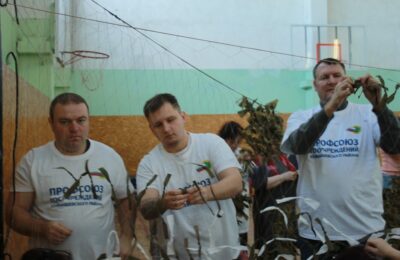 Поддержка участников СВО объединила власть и общество в Куйбышевском районе