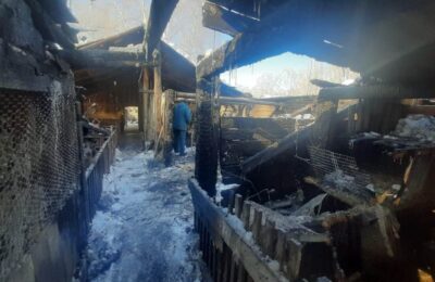 Пожар повредил сарай в Куйбышевском районе