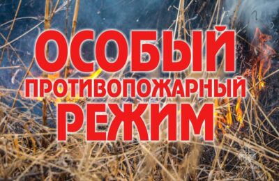 Пожароопасный сезон и особый противопожарный режим в Новосибирской области стартуют одновременно