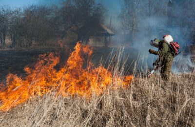 Первые загорания сухой травы зафиксированы в Новосибирской области