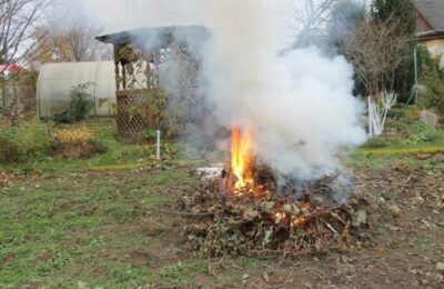 Штраф заплатит за сжигание мусора жительница Куйбышевского района