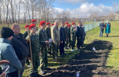 Рябины в честь героев СВО высадили в селах Куйбышевского района