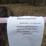 Почти 700 случаев укуса клещом за неделю зафиксировали в Новосибирской области