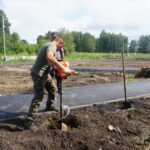 В Куйбышеве продолжается благоустройство территории в районе Городской рощи