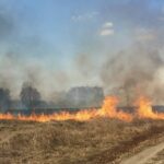 Участники СВО помогут в борьбе с лесными пожарами в Новосибирской области