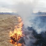 За сутки в Куйбышевском районе зарегистрировано два пожара
