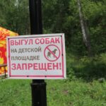 Беречь парки призывает жителей глава Куйбышева