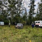 Пропавших в лесах Новосибирской области грибников находят спасатели