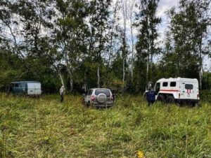 Пропавших в лесах Новосибирской области грибников находят спасатели