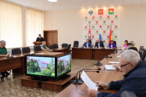 Депутаты Куйбышевского района утвердили генеральные планы сельсоветов