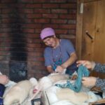 Праздник гусиного пера провели для участников этнокультурной экспедиции в Куйбышевском районе