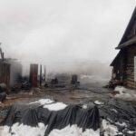 Надворные постройки сгорели в деревне Куйбышевского района