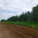 В Новосибирской области асфальтируют 9 км дороги «Барабинск – Зюзя – Квашнино» по нацпроекту