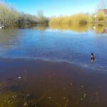 Весна-2026 в Новосибирской области прогнозируется ранней и теплой