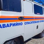 Очередную косулю выпустили на волю спасатели в Барабинске