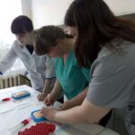 Более 460 студентов Новосибирской области прошли в финал олимпиады «Я – профессионал»