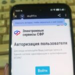 О будущей пенсии проинформировано более 700 тысяч жителей Новосибирской области