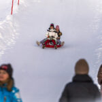 Союз отцов в Новосибирске раскритиковал инициативу о запрете снежных горок