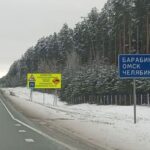 За год на дорогах Новосибирской области погибли 11 лосей и 4 косули