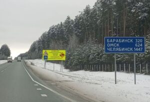 За год на дорогах Новосибирской области погибли 11 лосей и 4 косули