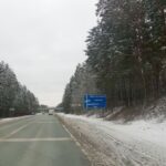 Масштабную экспертизу семян лесных деревьев провели в Новосибирской области