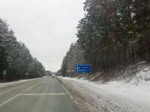 Масштабную экспертизу семян лесных деревьев провели в Новосибирской области