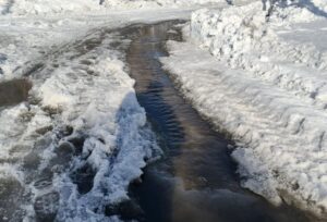 Режим повышенной готовности планируют ввести в Новосибирской области