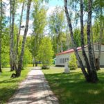 Более 500 путевок в детские лагеря в Новосибирской области уже оформлены онлайн