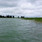 Более 1844 тонны рыбы отправлено в 2025 году на экспорт из Новосибирской области