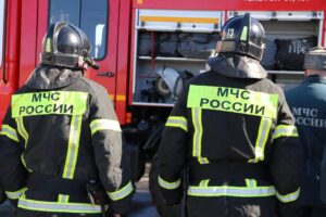 Более 1100 пожаров произошло в Новосибирской области с начала года